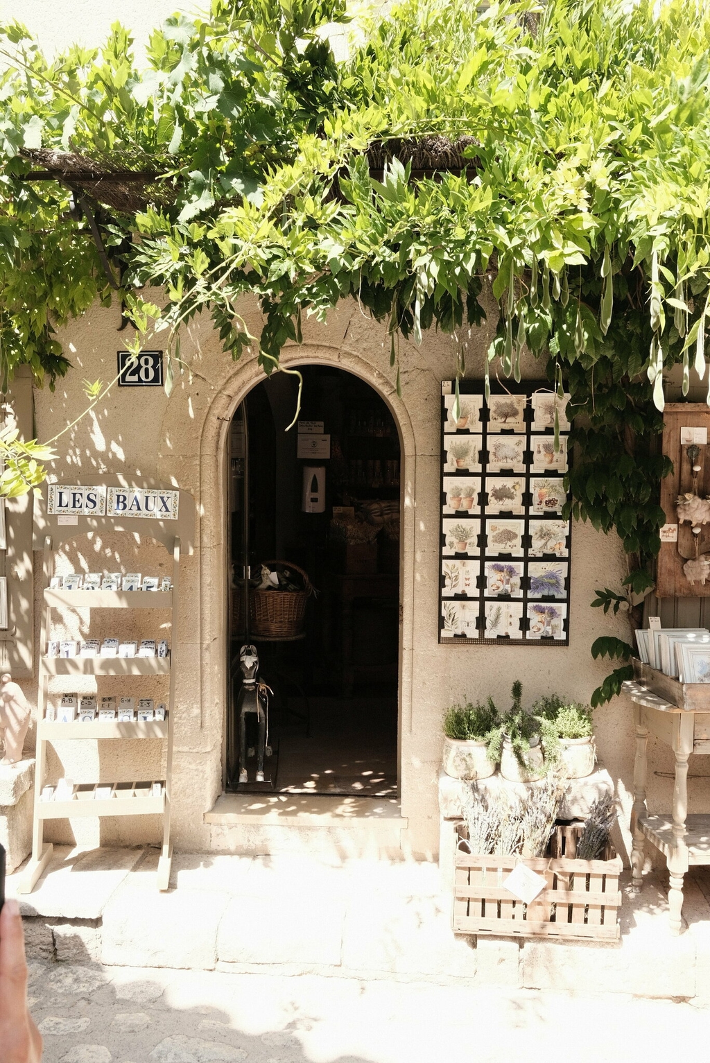 provence