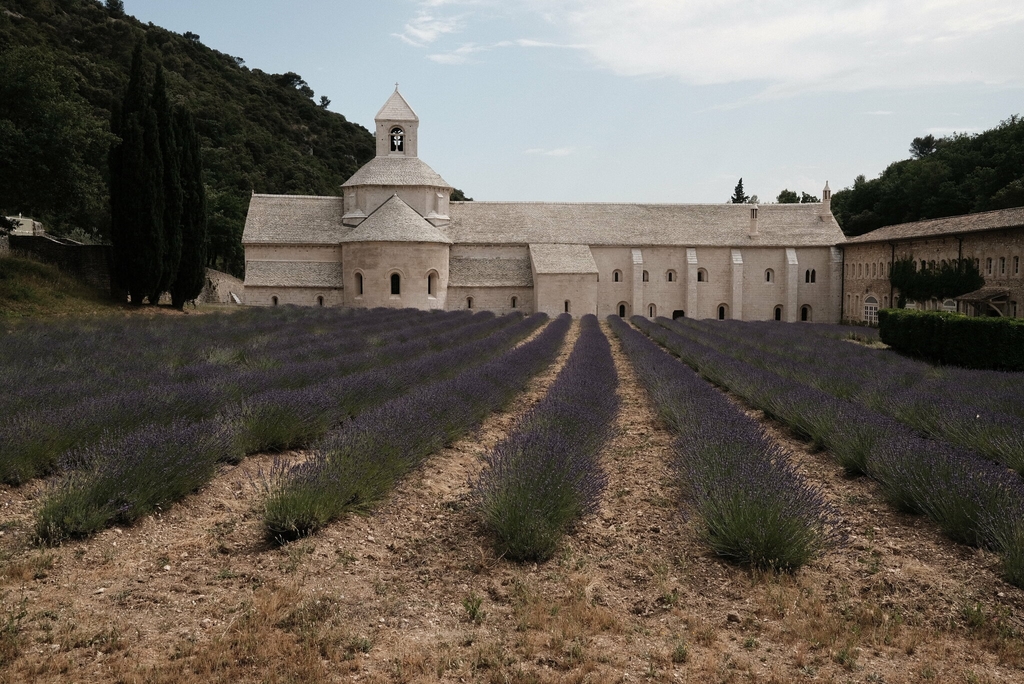 provence