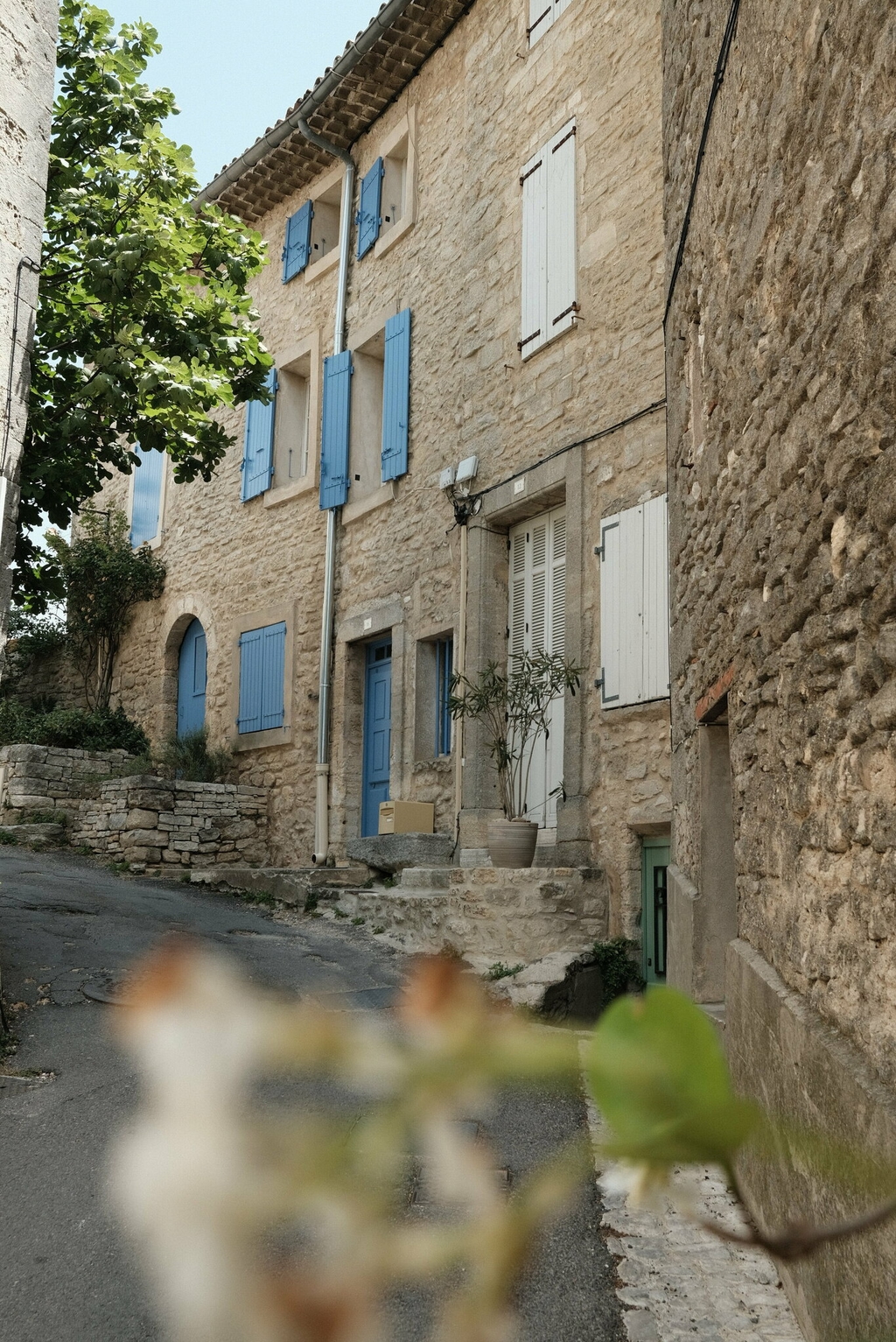 provence