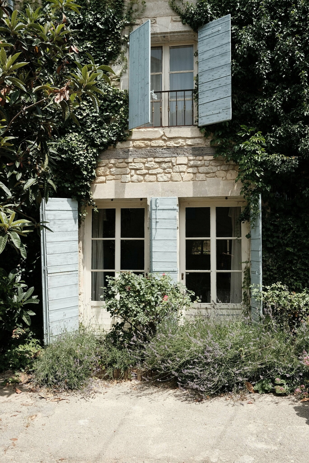 provence