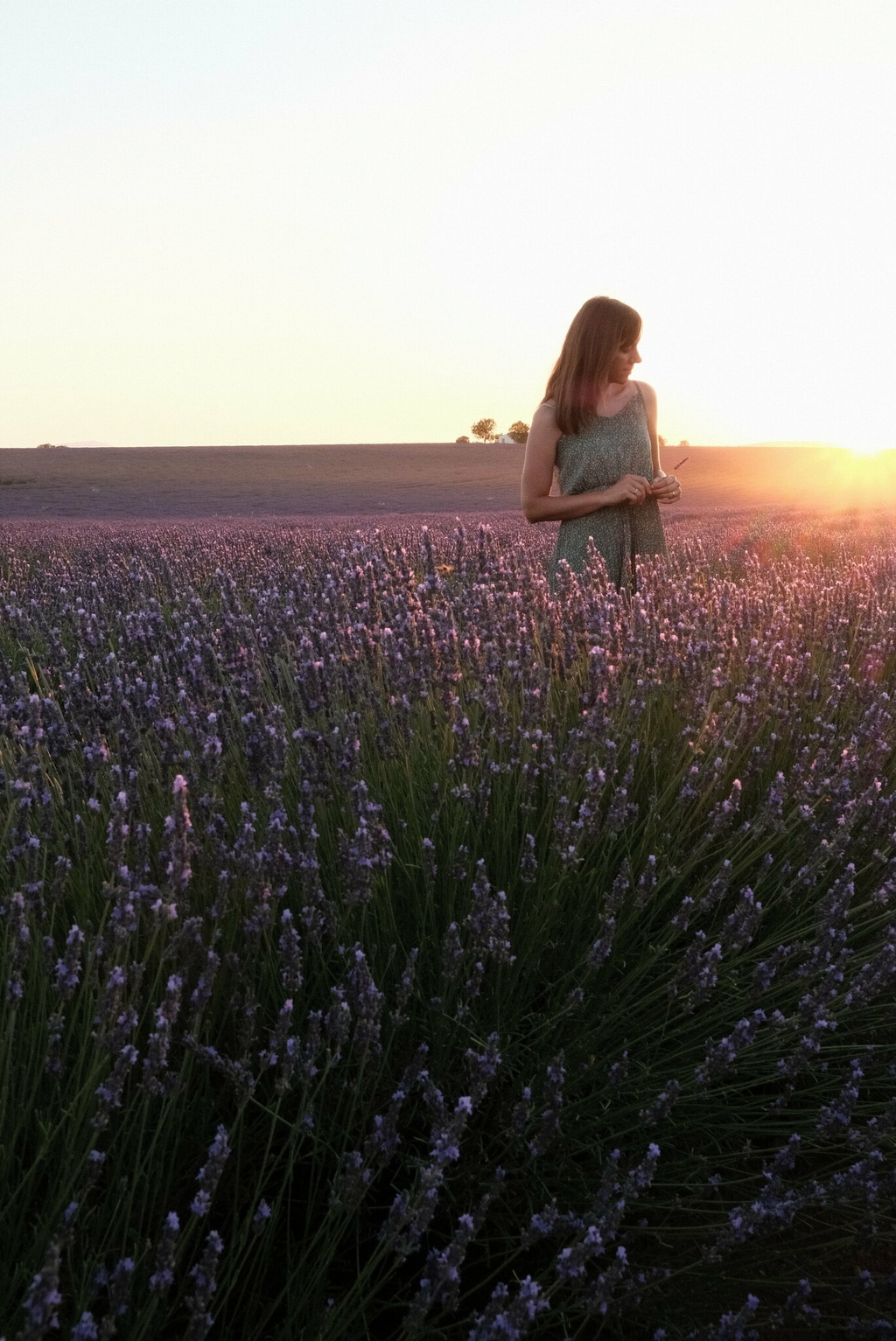 provence