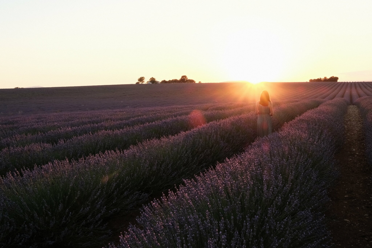 Provence