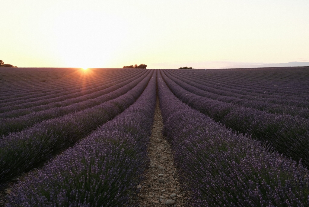 provence