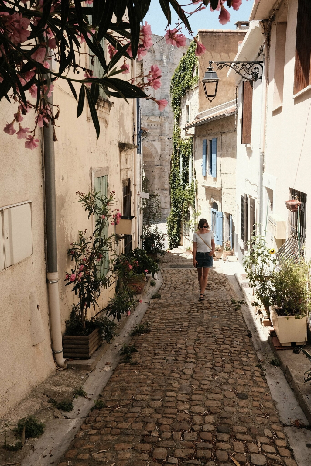 provence