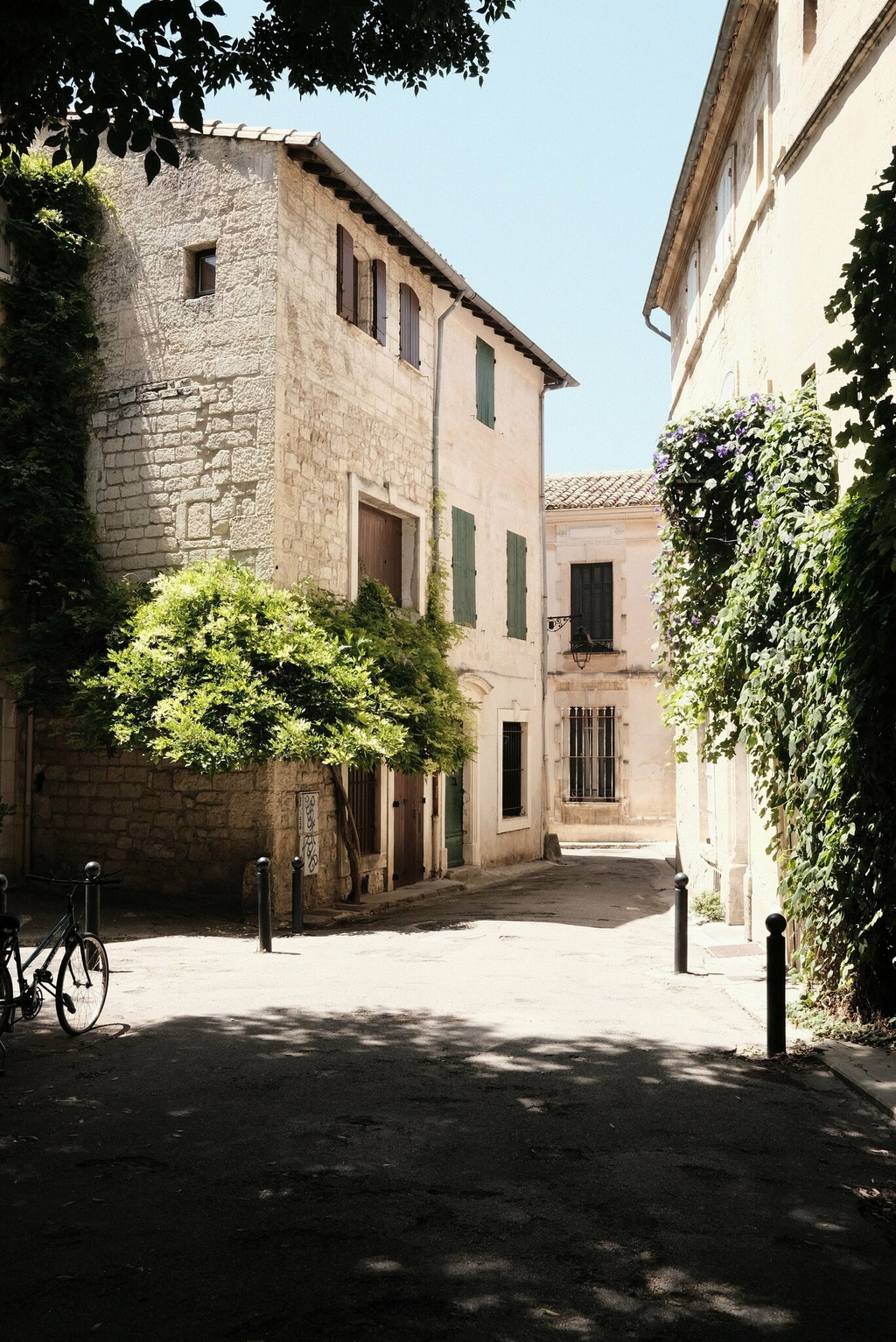 provence