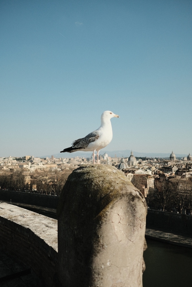 rome