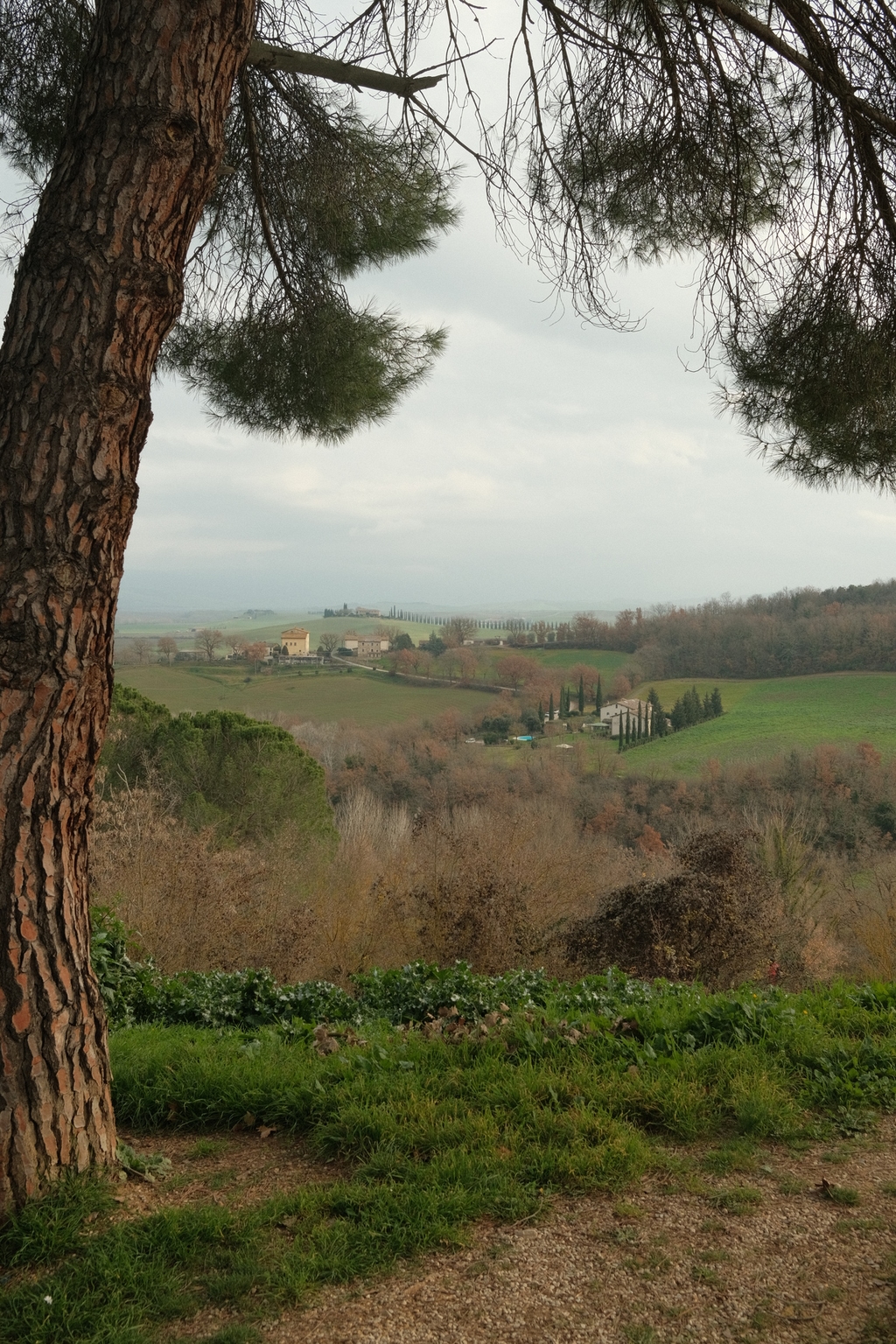 val d'orcia